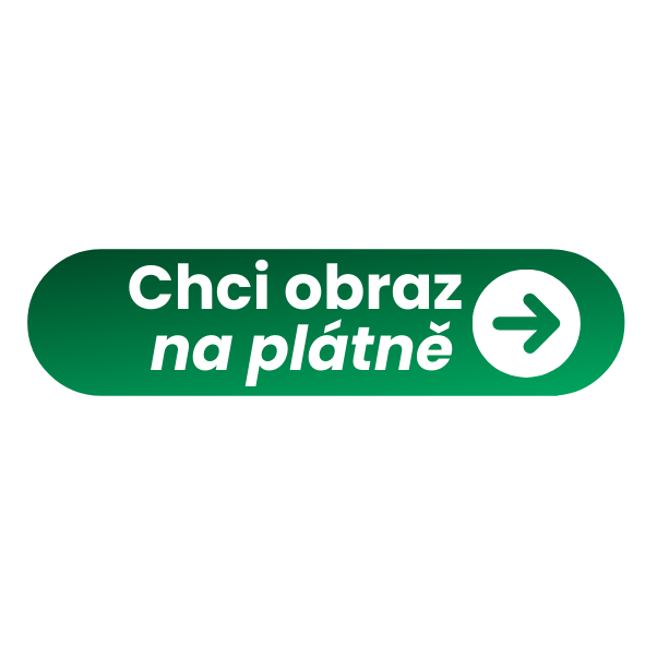 Chci obraz na plátně